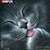 5D Diamond Painting Kitty Lick Kit