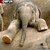 5D Diamond Painting Baby Elephant Kit