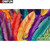 5D Diamond Painting Colorful Feathers Kit