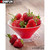 5D Diamond Painting Red Bowl of Strawberries Kit