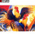 5D Diamond Painting Rooster Fight Kit