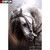 5D Diamond Painting White Horse with Bridle Kit