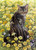 5D Diamond Painting Cat in the Yellow Flowers Kit