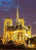 5D Diamond Painting Notre Dame at Night Kit