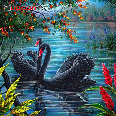 black swan painting