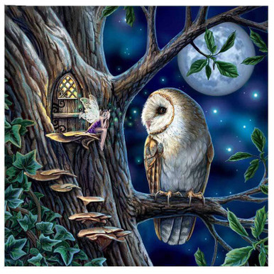 https://cdn11.bigcommerce.com/s-xf1j2e32mt/products/12210/images/17466/5d-diamond-painting-fairy-owl-moon-kit-15284704772199__98661.1631179558.386.513.jpg?c=1