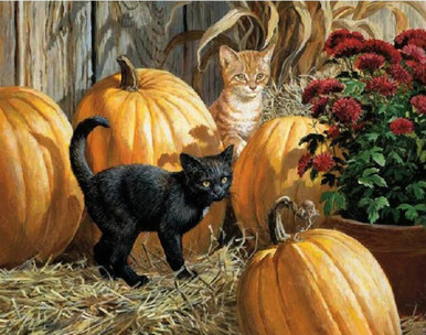 5D Diamond Painting Black and Orange Kittens by the Pumpkins Kit - Bonanza  Marketplace