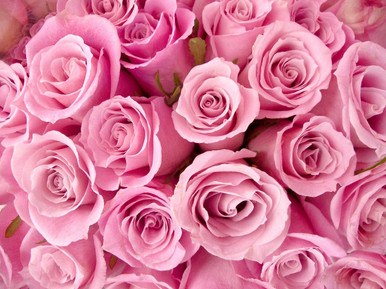 5D Diamond Painting Bunch of Pink Roses Kit - Bonanza Marketplace