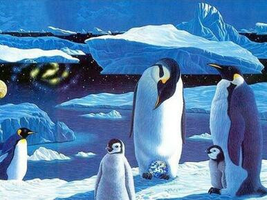 5D Diamond Painting Penguins on the Ice Kit - Bonanza Marketplace