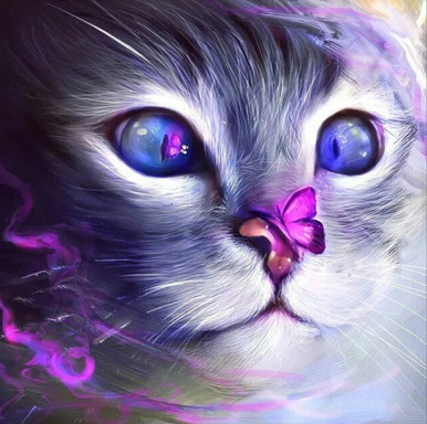 5D Diamond Painting Pink Butterfly on a Cats Nose Kit - Bonanza Marketplace