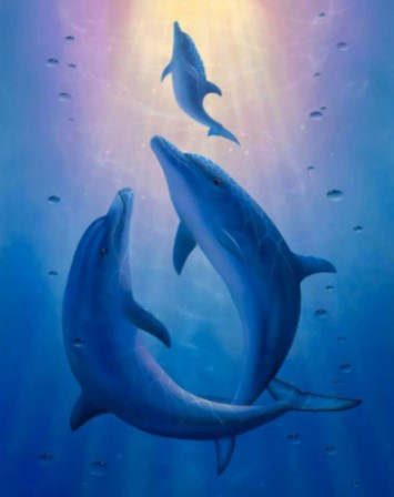 5D Diamond Painting Dolphins by Moonlight Kit - Bonanza Marketplace