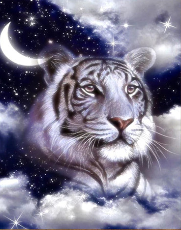 5D Diamond Painting Night Time Sky White Tiger Kit - Bonanza Marketplace