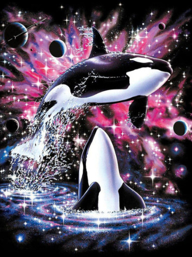 5D Diamond Painting Orca Pink Galaxy Kit - Bonanza Marketplace