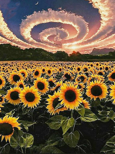 Aesthetic Sunflower - 5D Diamond Painting 