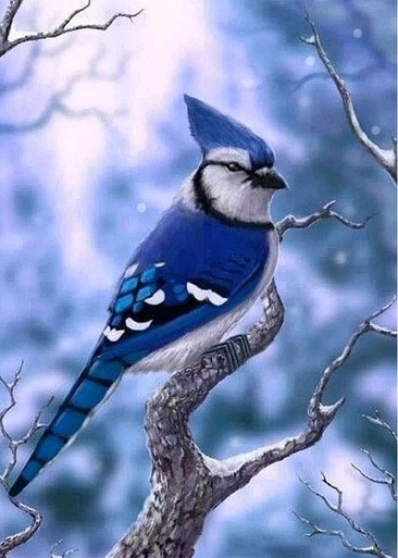 5D Diamond Painting Pink Blossom Blue Jay Kit