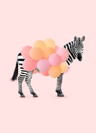 5D Diamond Painting Balloon Zebra Kit - Bonanza Marketplace