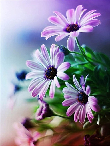 5D Diamond Painting Purple and White Daisies Kit - Bonanza Marketplace