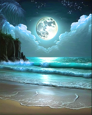 The Moonlight Beach 5D Diamond Painting -  – Five Diamond  Painting