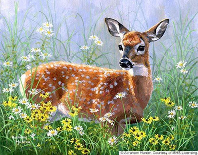 Acrylic Deer Diamond Painting Kit at