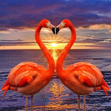 Flamingo Sunset - Adult Paint By Numbers – All Diamond Painting Art