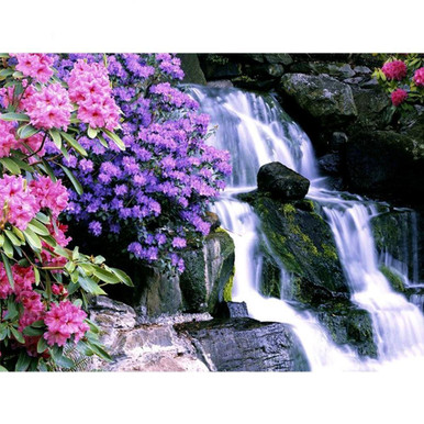 5D Diamond Painting Flowers by the Pond Kit