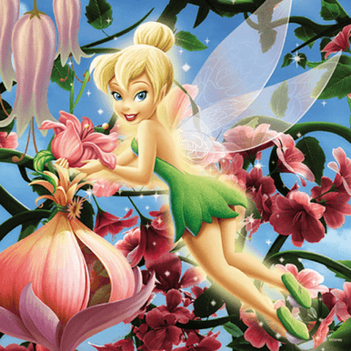 5D Diamond Painting Fancy Frame Tinkerbell Kit - Bonanza Marketplace