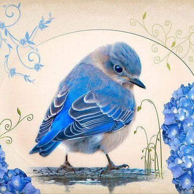 Diamond Art Kit 8x8 Beginner Blue Bird