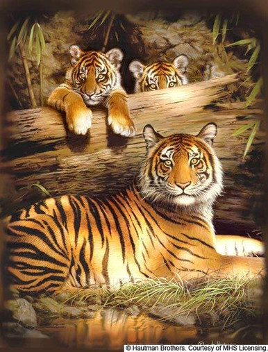 Tigers Family Diamond Painting Kits Tiger Leopard Family - Temu