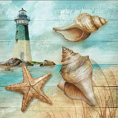 Sea Shells On Beach - 5D Diamond Painting - DiamondByNumbers - Diamond  Painting art