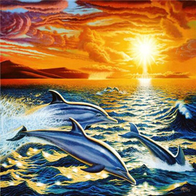 5D Diamond Painting Dolphin Sunset Kit - Bonanza Marketplace