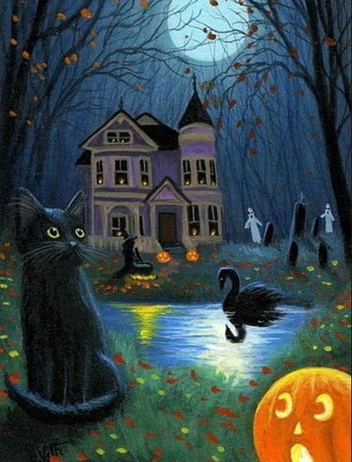 black cat haunted house