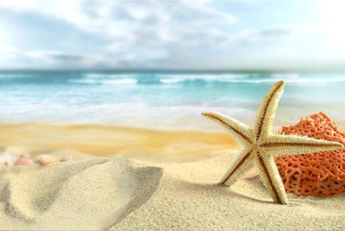 Dành thời gian cho sự thư giãn và sáng tạo với tranh 5D kim cương chân cảnh bãi biển và vỏ sò. Từng viên kim cương lấp lánh gợi nhắc đến bãi biển xanh biếc và cảm giác mát mẻ khi đắm chìm trong làn nước. Nhìn hình ảnh để thấy sự phiêu lưu và thịnh vượng.