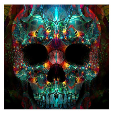 5D Diamond Painting Kits for Adults – HD Glow-in-the-Dark Skull Diamond Art  Kits