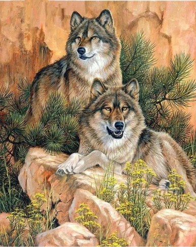 2 Wolves From Crafting Spark - Diamond Painting - Kits - Casa Cenina