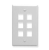 Face Plate 6 Port White ICC