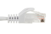 UTP 2' CAT6 White Patch Cable With Ferrari Boots 568B