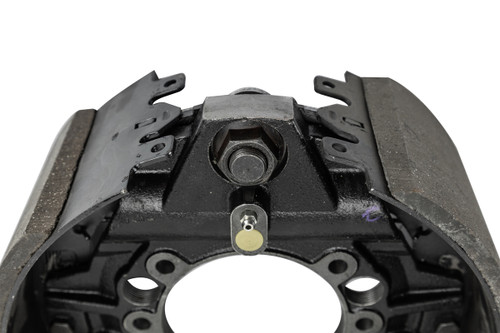 12-1/4"x 5" Dexter Hydraulic Brake Assembly for 15-16K Right Hand Brake (1 Wheel)