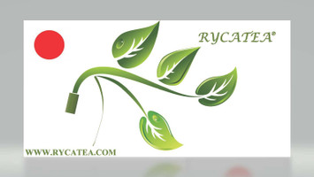 1000 Triangles Corporation