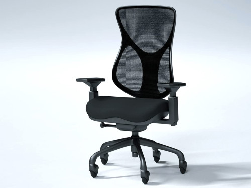 BodyBilt E-Chair