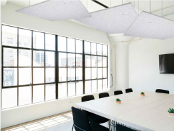 SoundSorb™ Acoustic Canopy Panels