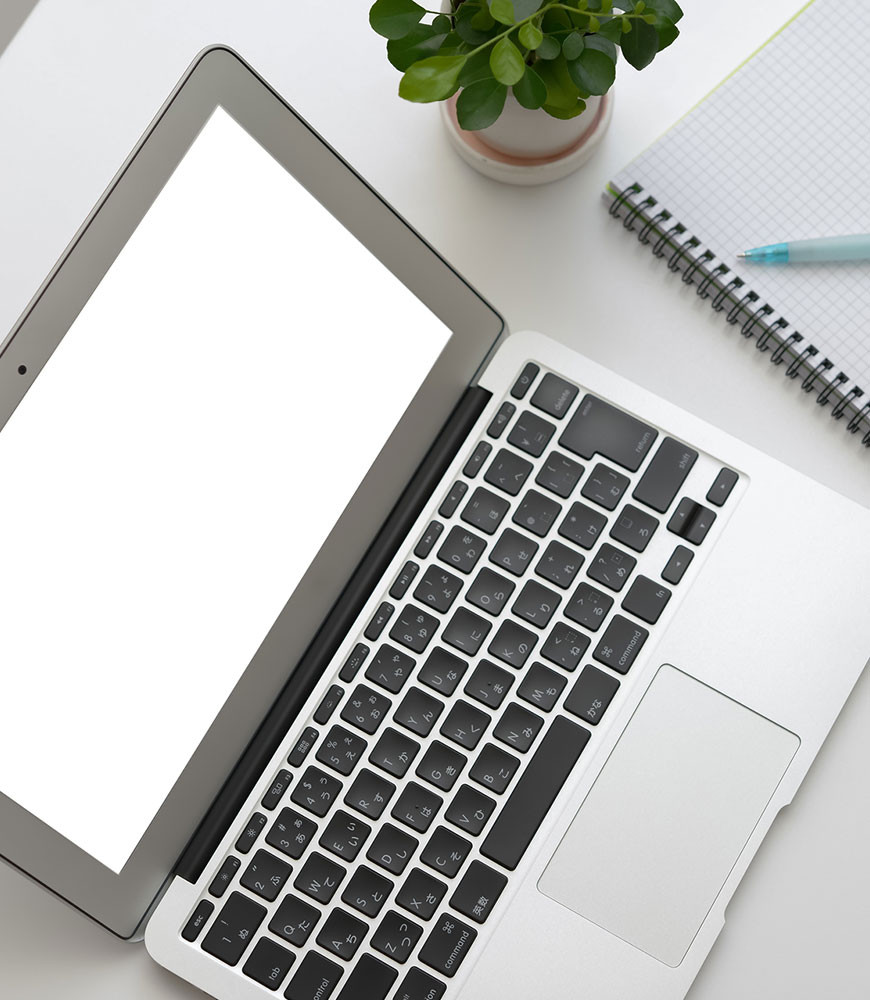 Ant Incidunt erat utlabore