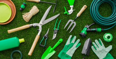 Lawn and Garden Tool Essentials for Green Thumbs