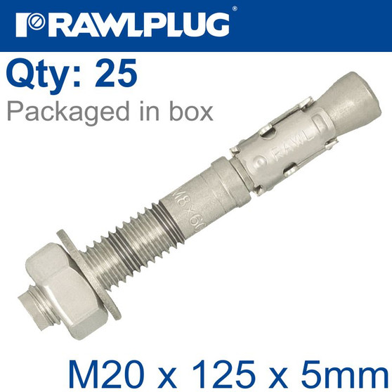 THROUGHBOLT SS M20X125X5MM X25 -BOX