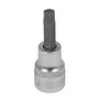 Socket 3/8" Dr  Torx Driver T40