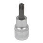 Socket 1/2" Dr Torx Driver T50