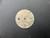 28.8mm Glossy White Dial Marked Rolex Symbol For Mens Steel YACHT-MASTER Watch Fit DG 2813 Or MIYOTA 8215 Automatic Movement With DWO