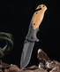 Best Ever Series - Laser Engraved Wood Handled X50 Tactical Knife