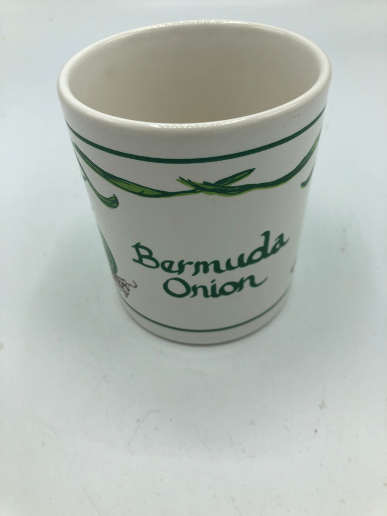 Vintage  Staffordshire Kiln Craft Bermuda Onion Mug