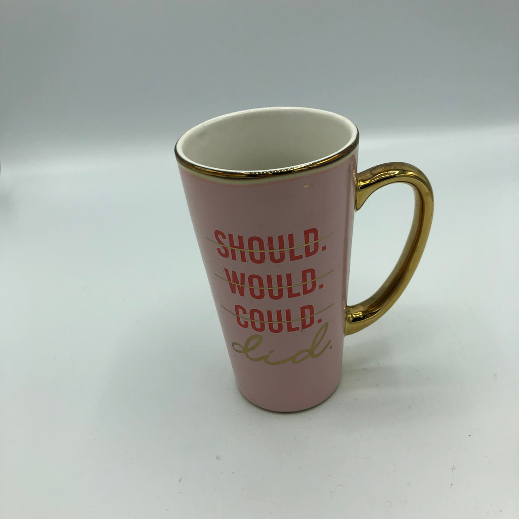 Should, Could, Would, Did Mug