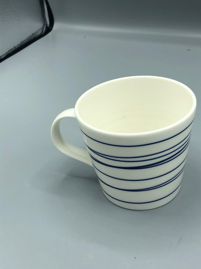 Royal Doulton pacific stripe mug